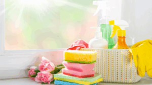 house cleaning tips