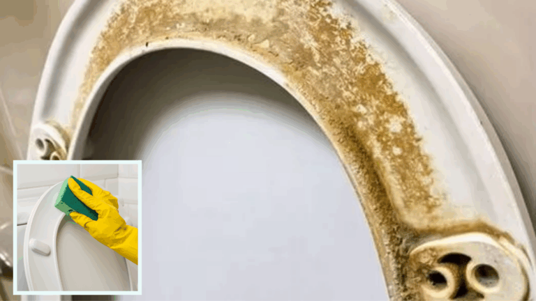 Ultimate Guide to Removing Toilet Seat Stains: Top Cleaners and the Magic Eraser Solution