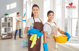 Domestic cleaning services Enfield