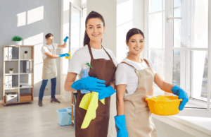 Domestic cleaners