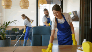 Domestic Cleaning Services