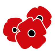 Poppies Domestic Cleaning Services
