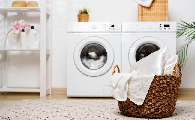 Modern,Laundry,Room,With,White,Appliances,And,Greenery